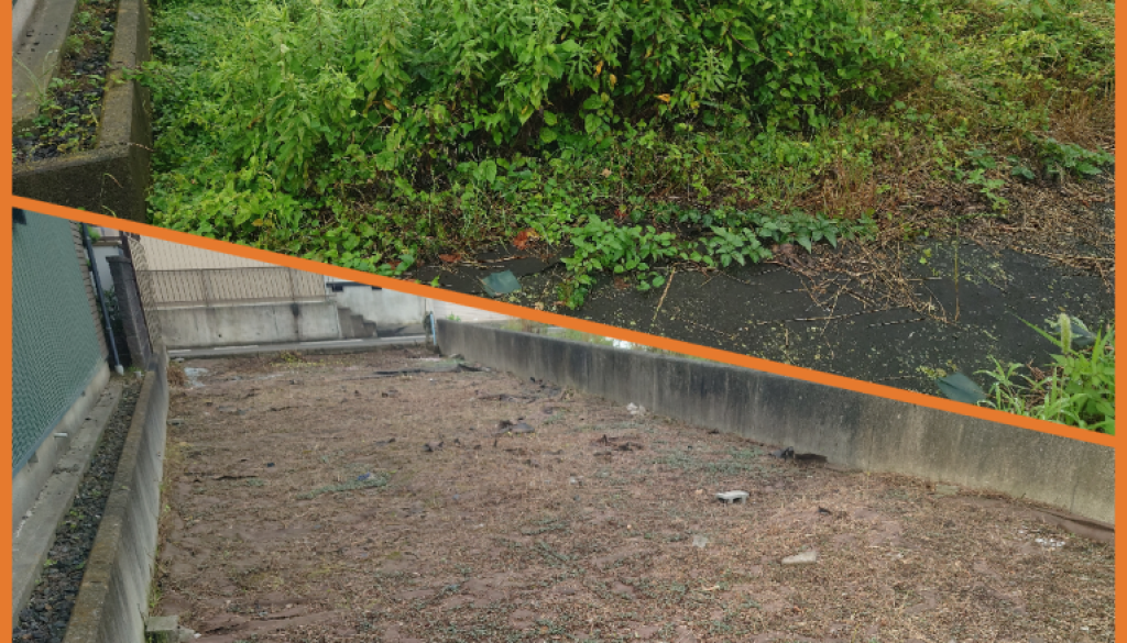 岐阜市にて除草作業