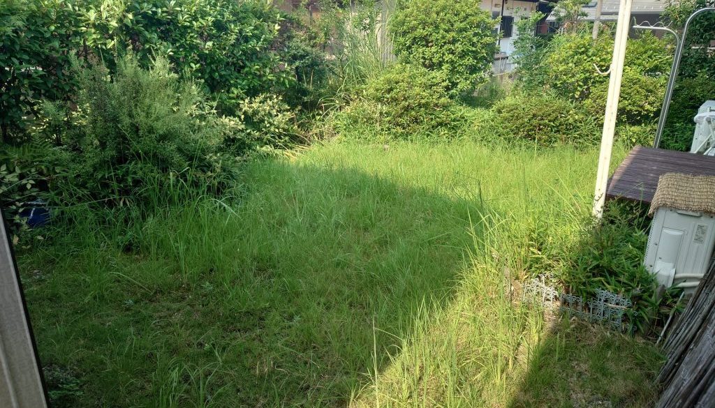 岐阜市にてお庭の草取り、剪定作業